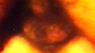 Extreme pissing and blowjob group sex