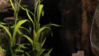 The genesis order (by NLT) - part. 29 (NVO)