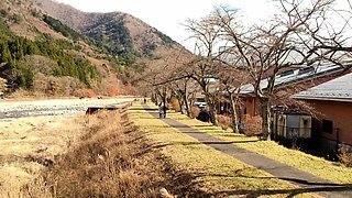 Mature blonde amateur milf hot webcam blowjob