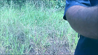 Walking in the woods 2