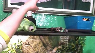 Emo Teen Becka Solo Webcam Masturbation Porn