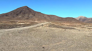 Standing Outdoor Pee on the Street