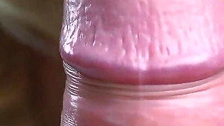 Compilation. Amazing Collection to Jerk off.