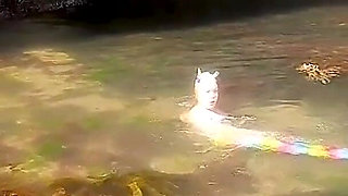 Mermaid Spotted! Wet Encounter in Lost Cove