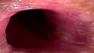 The Foundation of a Strong Family Is Looking Into the 18 Years Old Bride's Butt Hole.