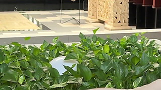 Roman Empress Livia Druscila Turns Ex-husband Into Foot Slave & Human Toilet - Cuckold Femdom Humiliation 4K