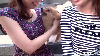 Shy Japanese Besties get Down to Business! Foursome by Manko88