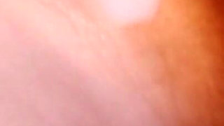 The Licks Away the Foreign Sperm