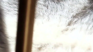 Sexy Editor Amica Bentley Takes Writer on Erotic Journey of Betrayal