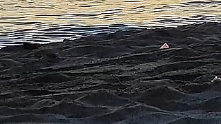 350 Flashing My Cock in Front of My Stepdaughter at Sunset in...elps Me Cumshot in Front of Everyone - Real Sex Risky