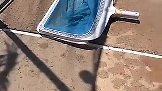 Experience the spicy allure of a Latina's captivating charm