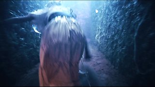 Monster Porn - Harsh Punishment Trailer