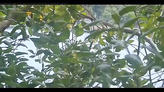 Stranger Fisherman Fucks Me On The Beach And Cums Inside My Pussy