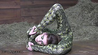 Flexible Spandex Beauty
