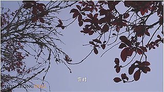 Sweet Chinese Game Girl 4 Ending - She Is The Girl Who I Will Keep Chasing After Forever Preview