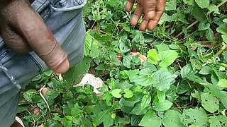 Young mature work in Deep forest.