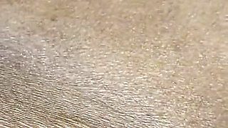 Desi Village Girl Tight Pussy First Time XXX Video, Desi Hot Beautiful Tgirl Home Sex