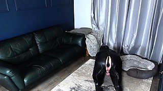 Sexy femdom fetish babes