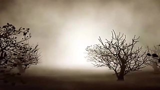 Gorgeous PAWG interracial amateur xxx scene