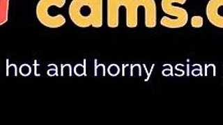 Asian Tourist Blowjob Quickie