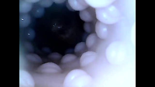 Internal closeup fucktoy