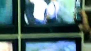 Daddy Bear and his Young Cub Caught on Camera