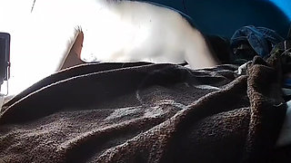 PUCHIS - SEXY MILF JUGOSO RUIDOSO SQUIRTING
