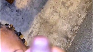 Amateur wife anal and facial with a big black cock