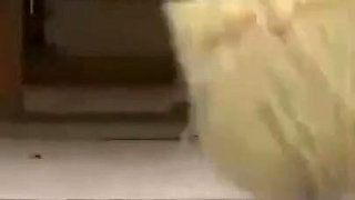 Htms-018: a Flame Unquenched - Part 2-3 - English Subtitles by Erojapanese