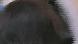 Your First Blacky Part 3