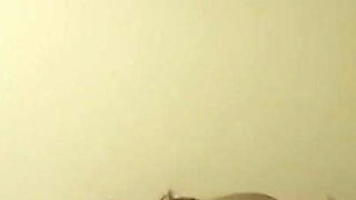 A Girl From Canada Went on a Trip to Mexico After a Week of Being in Mexico, She Can't Stand the Mexican Penis so Small